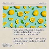 Obrilo Water Enhancer Liquid Flavoring Drops - ZERO Sugar/Calorie, Dye Free, Naturally Flavored Drink Syrup, 2.0 fl oz x 2 Bottles for Kids & Adults (Berry)