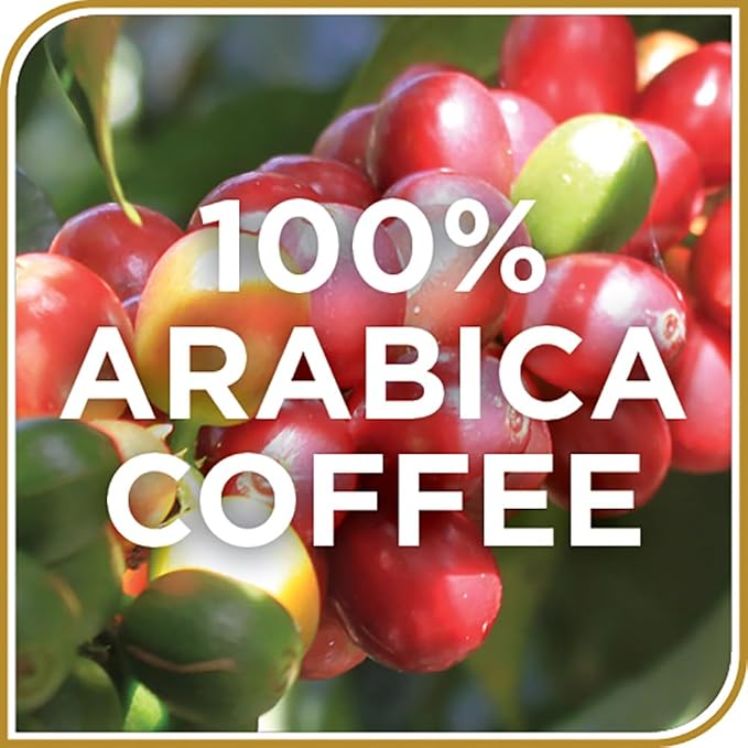 Don Francisco's Hawaiian Hazelnut Flavored Coffee - 100 K-Cup Compatible Single-Serve Pods - 100% Arabica with Coconut Hint - Recyclable through TerraCycle - Compatible with Keurig Brewers
