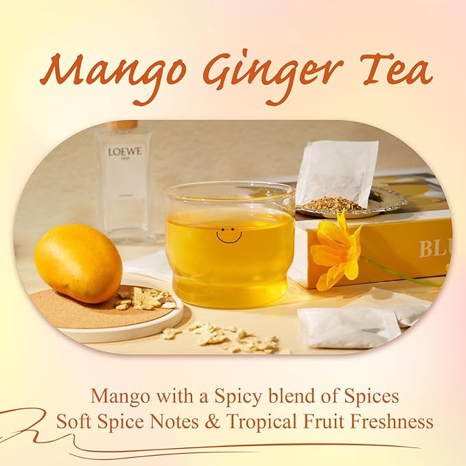 WT WEETEE Mango Ginger Tea Bags, 2g x 100 Counts, Flavored Ginger Herbal Tea Includes Cardamom, Fennel, Cinnamon, Rooibos, Licorice & More, Natural Caffeine-free