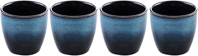 Ceramic Tea Cup, Kung Fu Tea set, Coffee Cup, Yerba Mate Set 4-piece companion cup set(Blue)