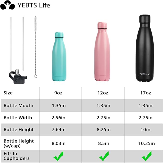 Insulated Water Bottle, 2 Pack-17oz Stainless Steel Water Bottles with straw lid, Metal Sports Water Bottles for Boys,Girls, Double Wall Vacuum BPA-Free Flask for School, Sports(Black-Sliver)