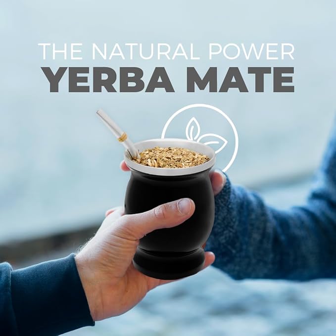 BALIBETOV Stainless Steel Double-Wall Mate Cup And Bombilla Set - Yerba Mate set Includes One Yerba Mate Cup, 2 Bombillas Mate (Straw) & Brush - Easy to Clean (Black)