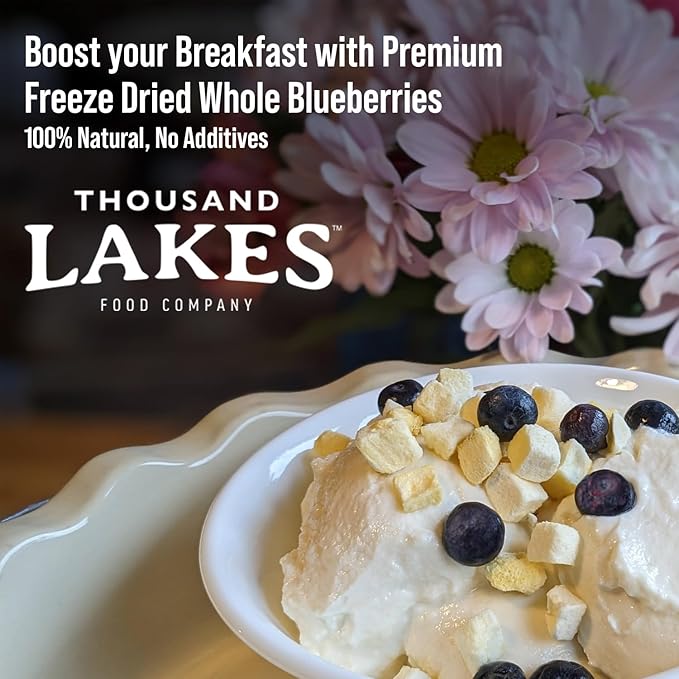 Thousand Lakes Freeze Dried Fruit - Blueberries 2-pack 1.2 ounces (2.4 ounces total) | No Sugar Added | 100% Whole Blueberries
