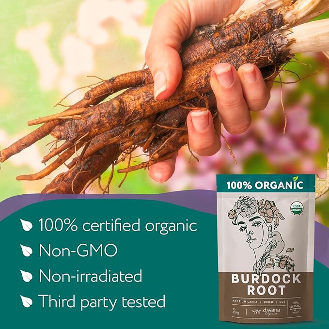 Premium Burdock Root Organic (16 oz.) - Greater Burdock Root Tea Loose - Raíz De Bardana Organica 우엉차