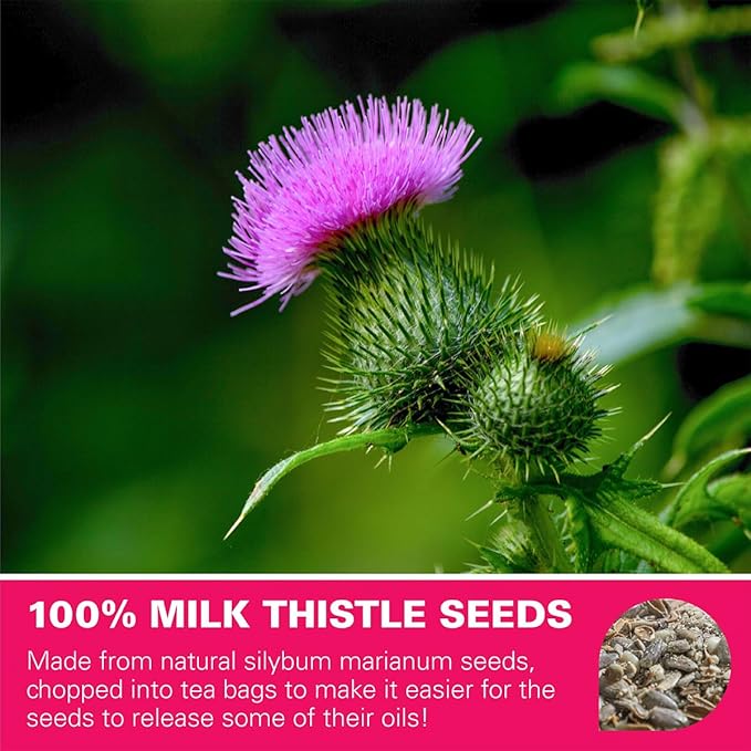 WT WEETEE Milk Thistle Tea Bags, Made with 100% Pure Milk Thistle Seeds, Natural Caffeine-free Herbal Tea Detox Tea 3g x 60 Counts