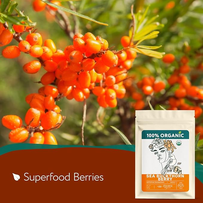 Organic Sea Buckthorn Berry – Sea Buckthorn Tea, Dried Seaberry, Seabuckthorn – Espino Amarillo – Rich in Nutrients Superfood Berries for Immunity, Heart, Digestion, Liver, Skin – 4 Ounces