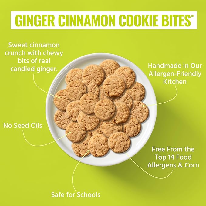 Every Body Eat Crunchy Cookie Bites, Gluten & Dairy Free, Vegan, School Safe Lunch Snacks, Single Serve (Pack of 20) (Ginger Cinnamon)