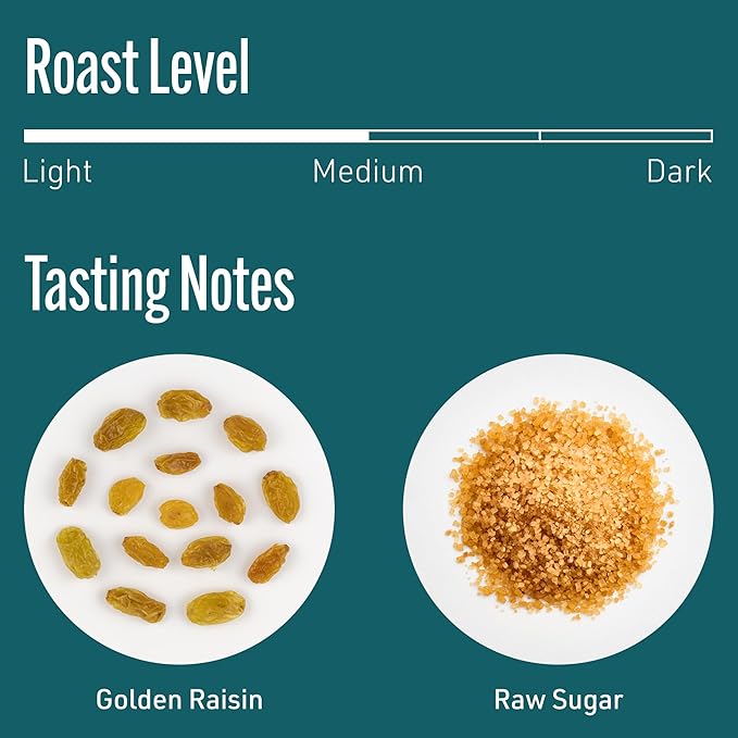 Intelligentsia Coffee, Medium Roast Whole Bean Coffee - Frequency Blend 12 Ounce Bag