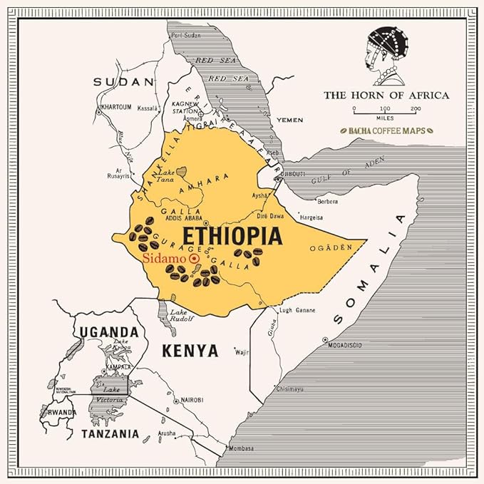 Bacha Coffee | Yirgacheffe Decaf Ethiopia Single Origin, Medium Dark Roast, 100% Arabica Specialty Coffee, 12 Coffee Drip Bags, Gift Box