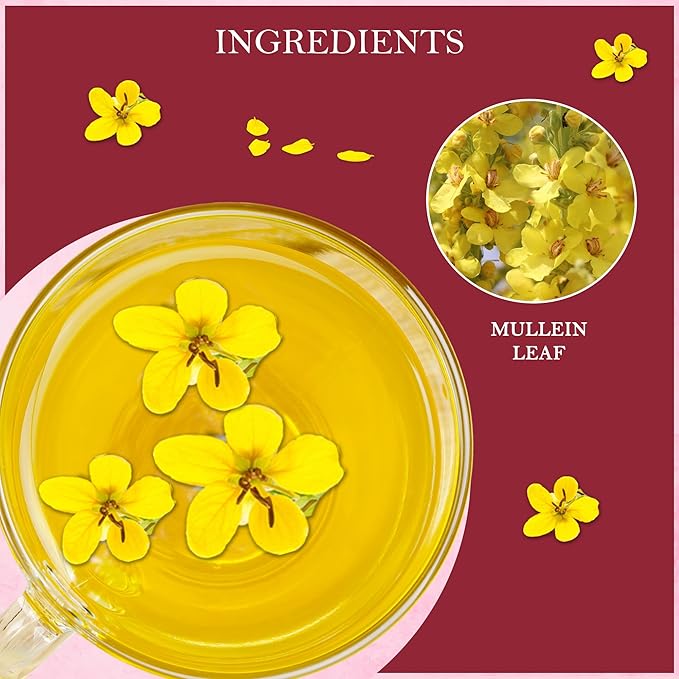 Tealeaf & Co. Mullein Leaf Tea Blended with Fresh Herbs - Pure Herbal Tea Bags with Mullein Leaf Extract - Flavored Herbal Blend - Low Caffeine - Gluten Free - 50 Teabags
