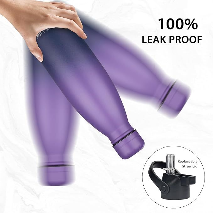 Insulated Water Bottle, 2 Pack-17oz Stainless Steel Water Bottles with straw lid, Metal Sports Water Bottles for Boys,Girls, Double Wall Vacuum BPA-Free Flask for School, Sports(Purple-SeaIndigo