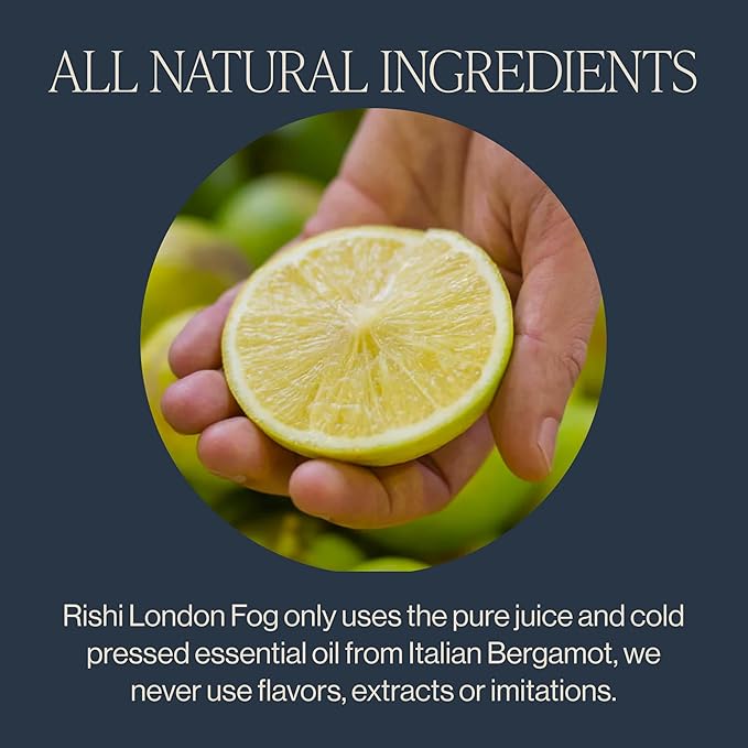 Rishi Tea London Fog Latte - Organic Black Tea Concentrate with Bergamot, Easy-to-Serve Hot or Iced Earl Grey Mix - 32 fl oz Carton, 8 Servings (Pack of 3)