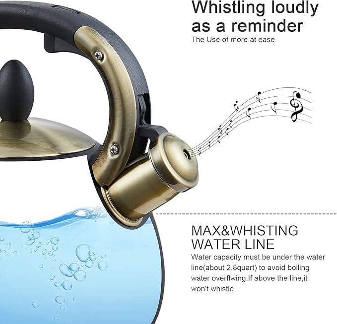 Stove Top Whistling Tea Kettle- Stainless Steel Teakettle Teapot with Ergonomic Handle 2.6 Quart(Black)