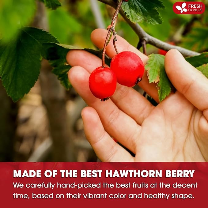 FreshDrinkUS, Premium Hawthorn Berry Tea - 135 Tea Bags - 100% Natural Herbal Infusion, Caffeine-Free, Rich Aroma & Smooth Taste. Vegan
