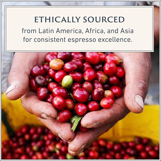 Filicori Zecchini Italian Espresso Beans – Whole Bean Coffee Medium Roast Arabica & Robusta Blend – Low Acidity, Slow Roasted – Delicato 2.2lb Bag
