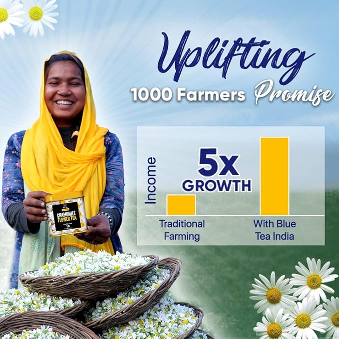 BLUE TEA - Flower Tea Combo - 4.05 Oz (Pack of 5) | VARIETY PACK | Combo Pack - Caffeine Free - Flower Based - Caffeine Free - Vegan - Non-Bitter - Non-GMO | Pet Jar Packs - Gift Box