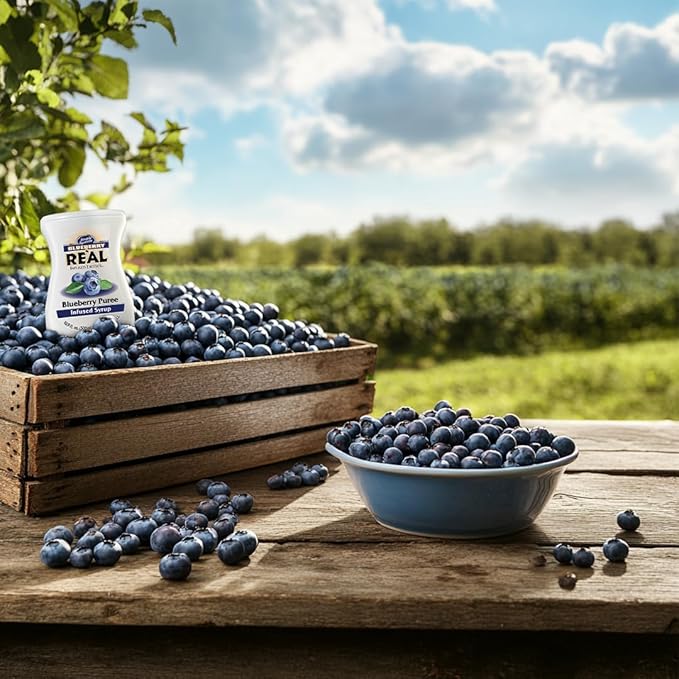 Blueberry Reàl Infused Exotics, Blueberry Puree Infused Syrup, 16.9 FL OZ Squeezable Bottle (Pack of 3)