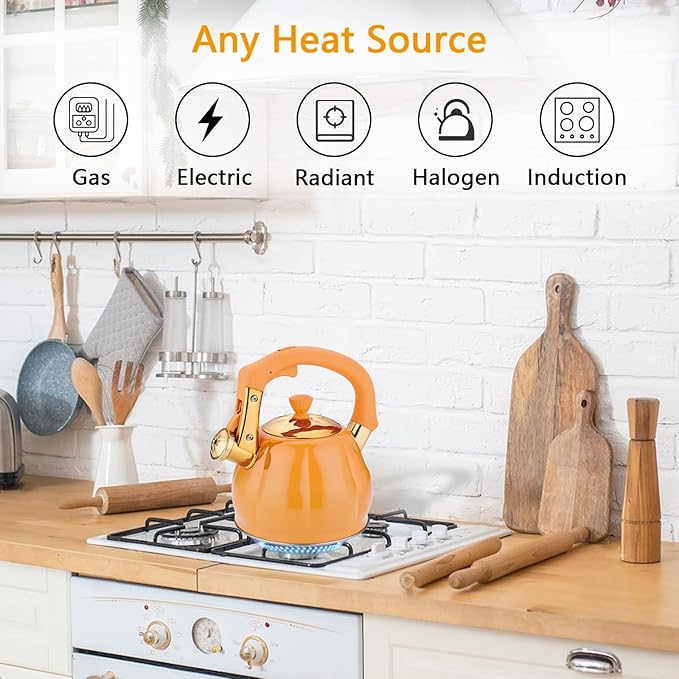 Stainless Steel Tea Kettle for Stove Top Teakettles Stovetop Whistling with Heat Proof Ergonomic Handle 2.5 Quart