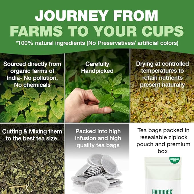 HANDPICK Lemon Balm Tea Bags – 100 Count | 100% Pure Natural Dried Lemon Balm Herb | Caffeine-Free Herbal Tea with Citrus Flavor & Aroma | Round Eco-conscious Teabags