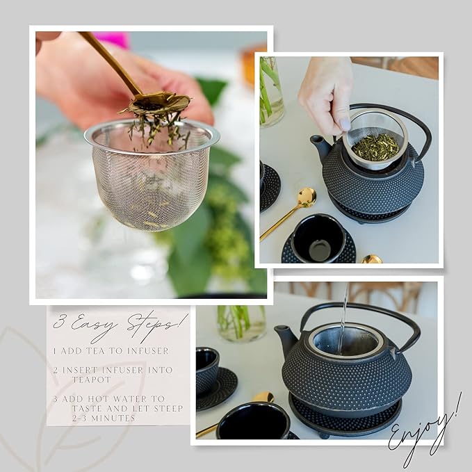 Large 11PC Japanese Tea Set "Gashu Black" Cast Iron Tea Pot 26Oz with 4 Tea Cups (2Oz each), 4 Saucers, Loose Leaf Tea Infuser and Trivet Ceremonial Matcha Accessories