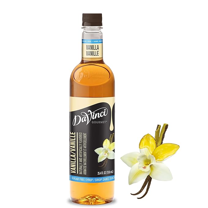 DaVinci Gourmet Sugar-Free Vanilla Syrup, 25.4 Fluid Ounces (Pack of 1)