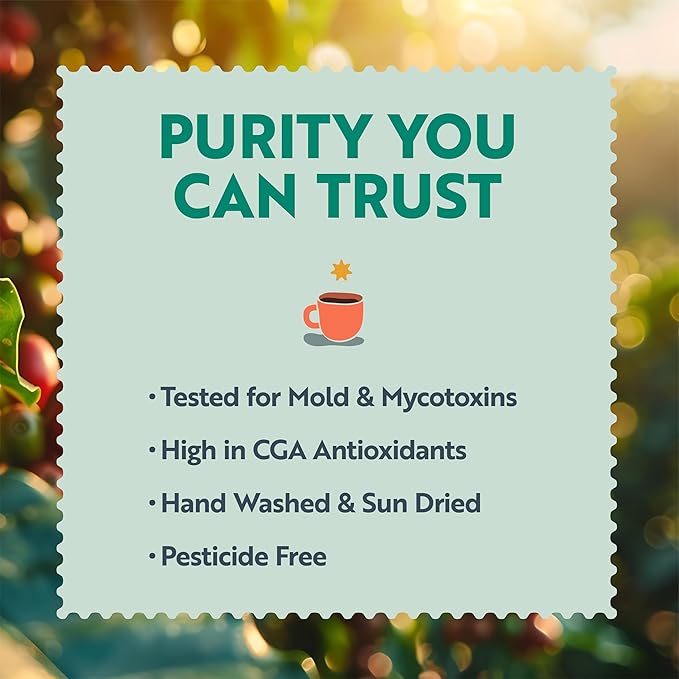 Clean Coffee Co. - Low Acid Dark Roast, Tested for Molds and Toxins, Honduras Blend, Notes of Caramel, Dark Chocolate, and Toasted Malts (Ground, 12 oz Bag)