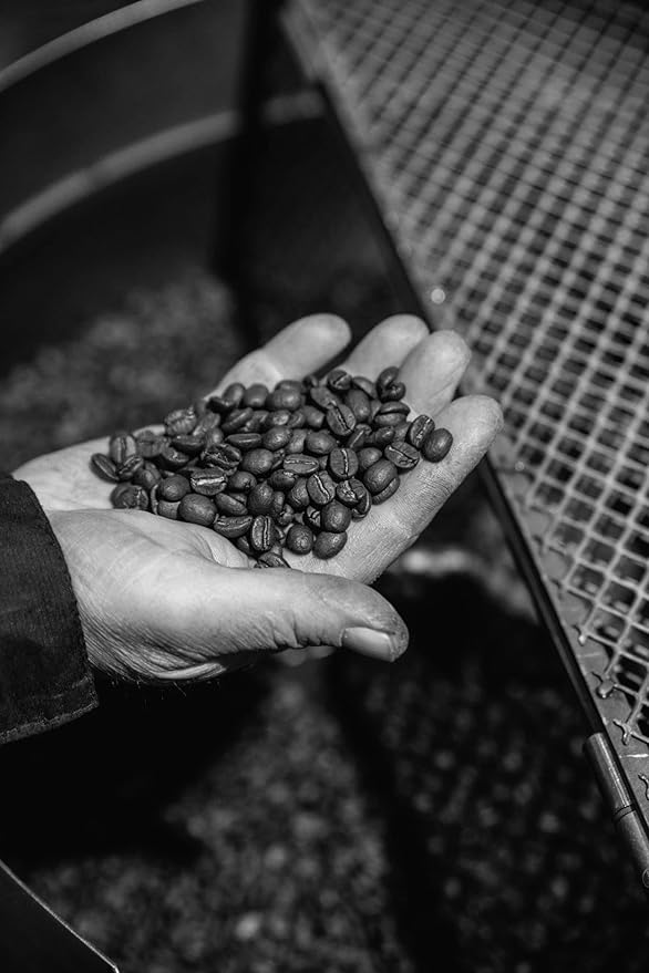 Bristot Moka Oro Ground Coffee – Italian Espresso – Medium Roast – Notes of Spices, Caramel & Sandalwood – For Moka, French Press, Pour Over – 8.8oz (250g)