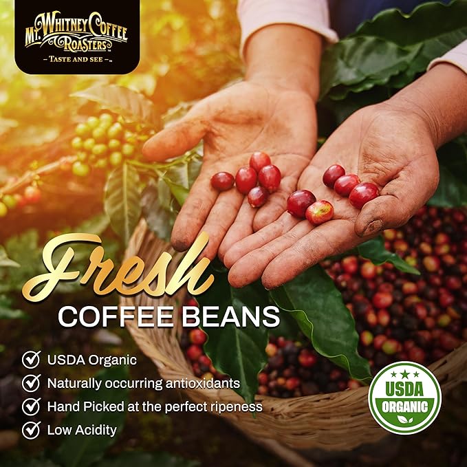 Mt. Whitney Coffee Roasters Base Camp Blend Medium Dark Roast Coffee, Low Acid, Ground, 5 lb (Pack of 1)