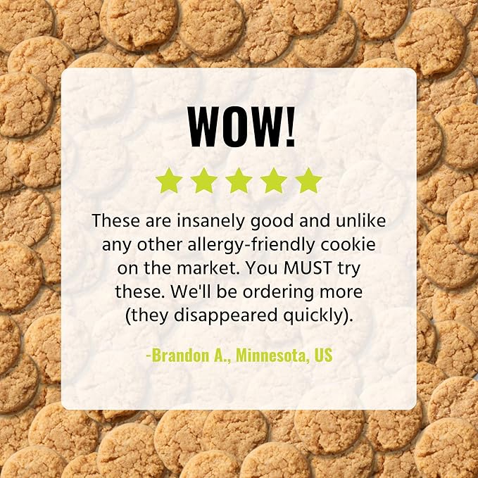 Every Body Eat Crunchy Cookie Bites, Gluten & Dairy Free, Vegan, School Safe Lunch Snacks, Single Serve (Pack of 20) (Ginger Cinnamon)