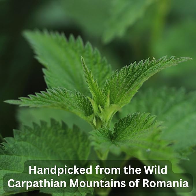Organic Wild Stinging Nettle Leaf Tea - Caffeine Free Loose Leaf Herbal Tea - 5.3 Oz - 75 Servings