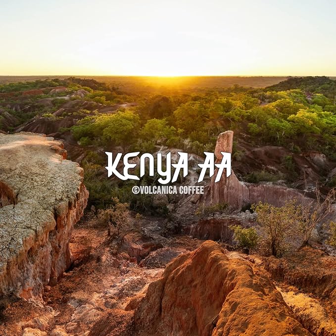 Kenya AA Coffee, 100% Pure, Whole Bean, Fresh Roasted, Kosher, 16-ounce