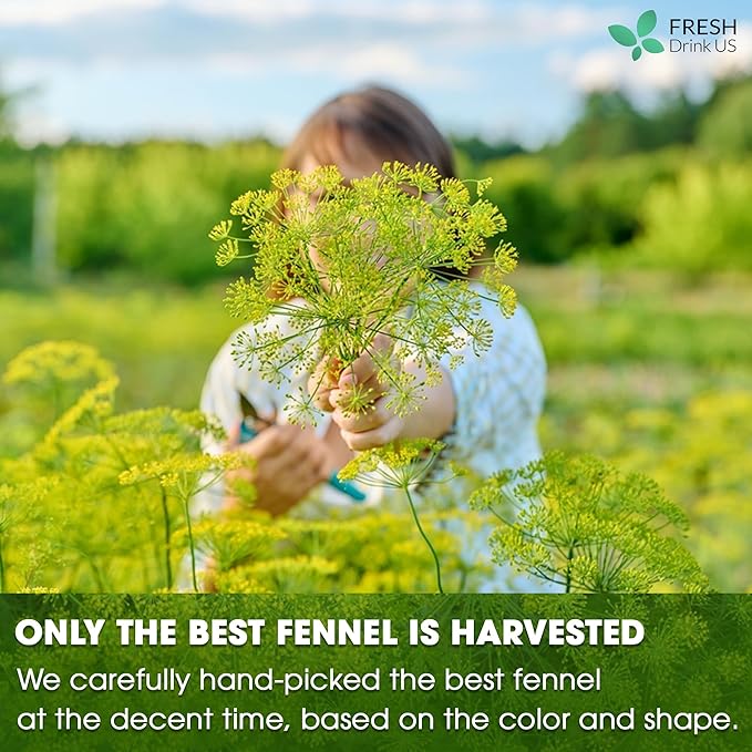FreshDrinkUS, Premium 135 Fennel Tea Bags, 100% Natural & Pure from Fennel Seeds. Fennel Seed Herbal Tea. Fennel Seed Tea. Made with Natural Material Tea Bags. No Sugar, No Caffeine, No Gluten, Vegan.