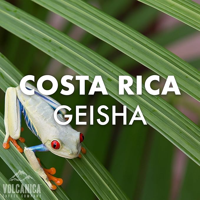 Geisha Coffee Costa Rica, Ground, Fresh Roasted, 5 lbs