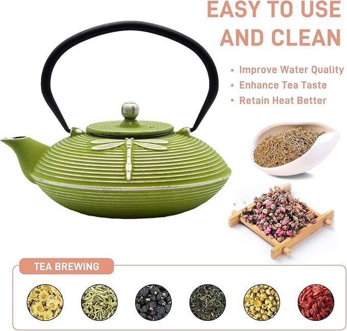 Cast Iron Teapot,SECHUDO Tea Kettle Coated with Enameled Interior for Loose Tea,Cast Iron Teapot with Stainless Steel Infuser for Stovetop Safe (27.1oz Flat Dragonfly Pattern)