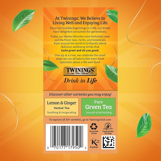 Twinings Orange & Cinnamon Spice Herbal Tea Individually Wrapped Bags, 20 Count (Pack of 1), Naturally Caffeine-Free, Enjoy Hot or Iced, 20 Teabags
