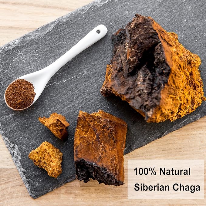 TEARELAE - Chaga Tea - 2g x 40 Count - Wild Harvest from Siberia - 100% Pure Natural Chaga Mushroom Tea Bag - Additive-Free - Non-GMO - Caffeine-free