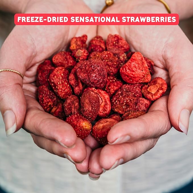 5th Season Freeze Dried Fruit Snacks Variety Pack - 100% 2 count Strawberries, 2 count Fruit Salad, 1 count Mango & Raspberries (5 Pack, 80g each)