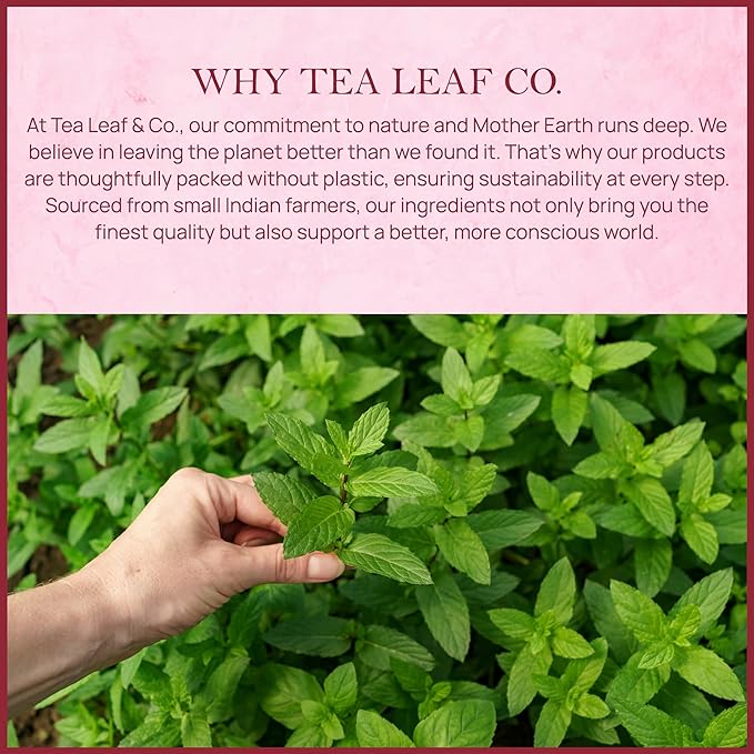 Tealeaf & Co. Orange Ginger Mint Tea Blended with Fresh Herbs and Spices - Herbal Tea Bags with Orange Peel, Ginger, Star Anise, Spearmint & Lemon Grass - Low Caffeine - Gluten Free - 50 Teabags