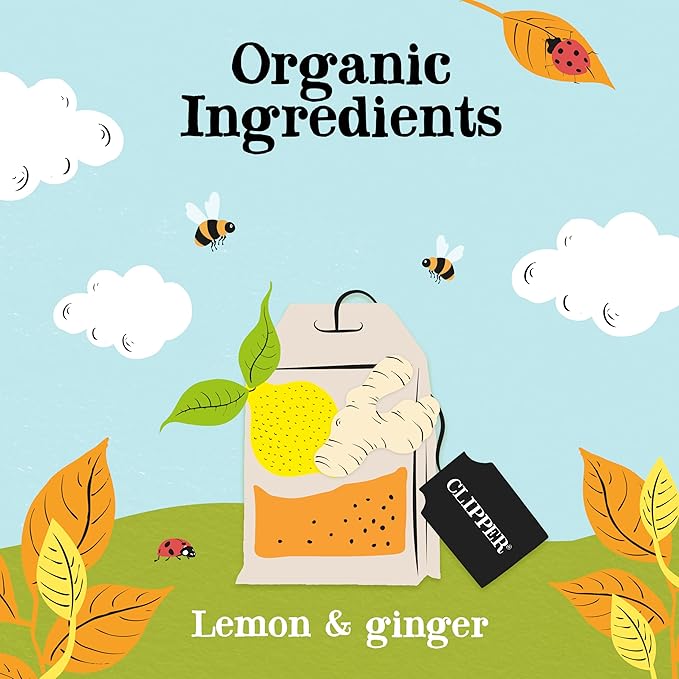 Clipper Tea Lemon & Ginger Teabags – Caffeine Free, USDA Organic, Great Hot or Iced – Aromatic, Natural, Fair & Delicious – 50 Tea Bags