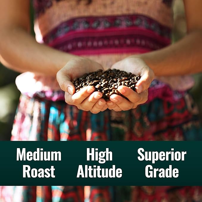 Natural Force - Bulk Organic Clean Coffee Classic, Mold & Mycotoxin Free, Lab Tested for Toxins & Purity, Low Acidity, Incredible Taste & Aroma, Whole Bean Medium Roast, 5 lbs