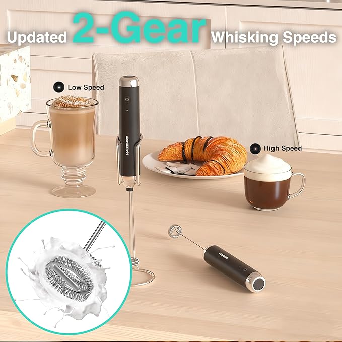 HAUSHOF Powerful Rechargeable Milk Frother Wand with Stand, Handheld Electric Foam Maker, Drink Mixer with 2 Detachable Stainless Steel Whisks 2 Speeds for Coffee Latte, Cappuccino, Matcha, Black