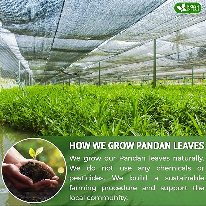 FreshDrinkUS, Premium 2oz Natural Pandan Leaves Dried, 100% Pure Dried Pandan Leaves, Pandan Leaf Tea, No Additives, No Caffeine, Vegan (2 oz Dried Leaves)