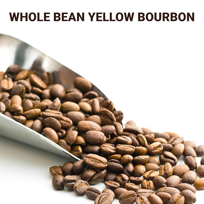 doanhdang - 17.6 Oz Premium Yellow Bourbon Whole Bean Coffee, 100% Medium Roast, Rich Flavor for Espresso Shot and Brew, Origin from Vietnam, Whole Med Roast Beans