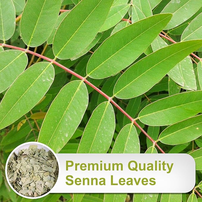 TEARELAE - Senna Tea - 1.5g x 64 Count Senna Leaves Tea Bags - Premium Indian Senna Leaves - Relieve Constipation, Aid in Digestion - Caffeine-Free, Non-GMO