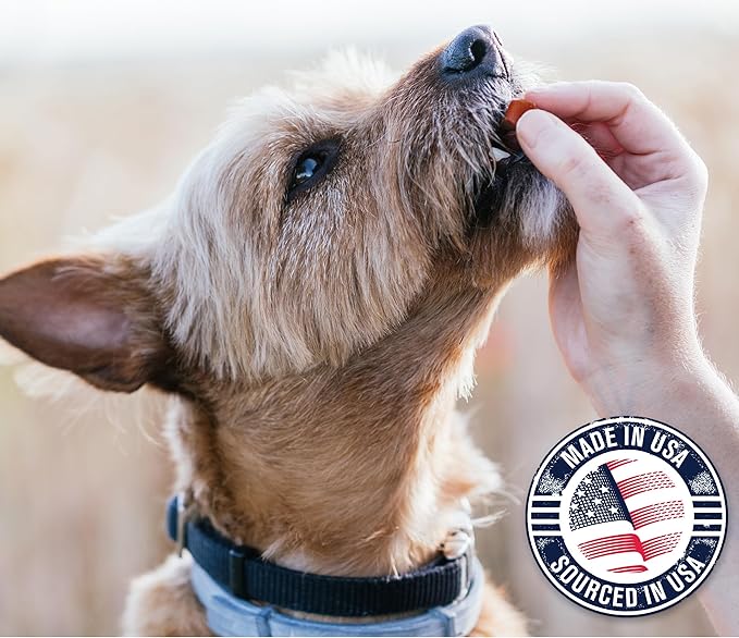 Riley's Slims Dried Sweet Potato Dog Treats - Dehydrated Chews for Dogs - Single Ingredient USA Sourced Made in The USA - 7.5 oz