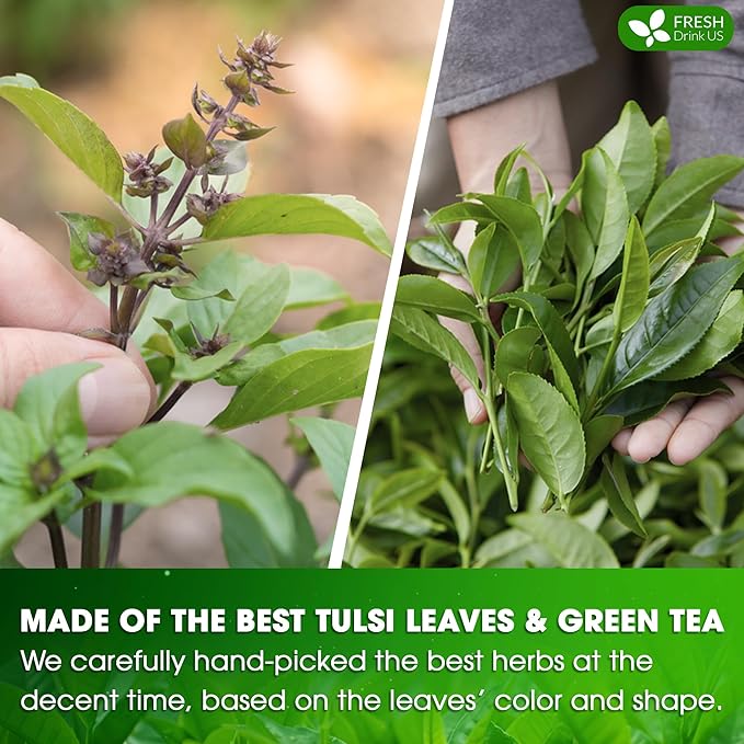 FreshDrinkUS, Premium 75 Tulsi Green Tea Bags, 100% Natural, Blend of Tulsi Holy Basil Leaves, and Green Tea Leaves. Made with Natural Material Tea Bags. No Sugar, Vegan.
