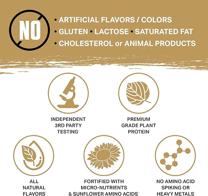 Ambrosia Planta - Premium Plant-Based Protein | Vegan & Keto Friendly | Gourmet Flavors with No Bloating or Stomach Upset | Gluten & Soy Free | No Added Sugar | 25 Servings | Banana Maple