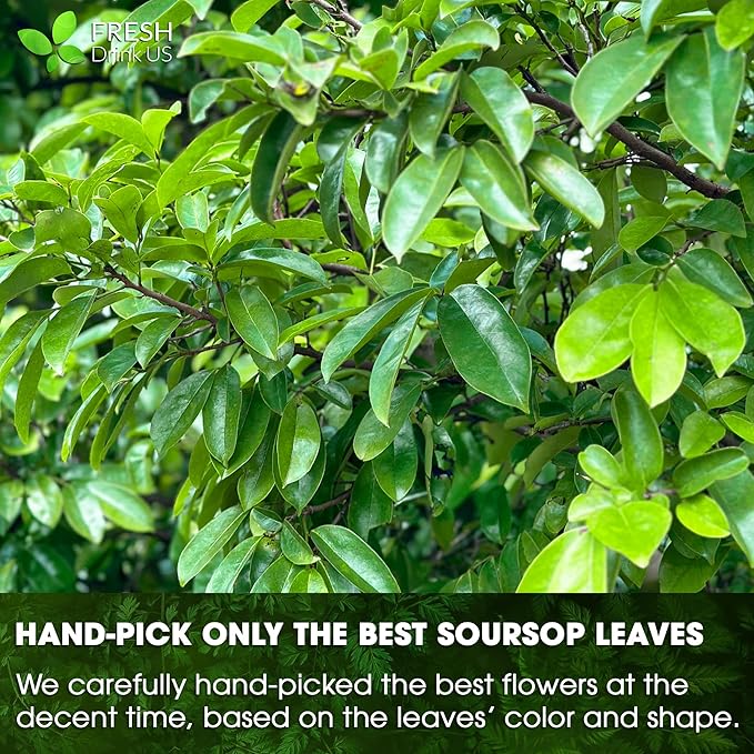 40 Premium Soursop Graviola Leaf Tea Bags, 100% Natural and Pure from Soursop Leaves, Handmade, Made With Natural Materials-Corn Fiber Tea Bag, Sugar/Caffeine/Gluten Free, Hoja Guanabana Tea