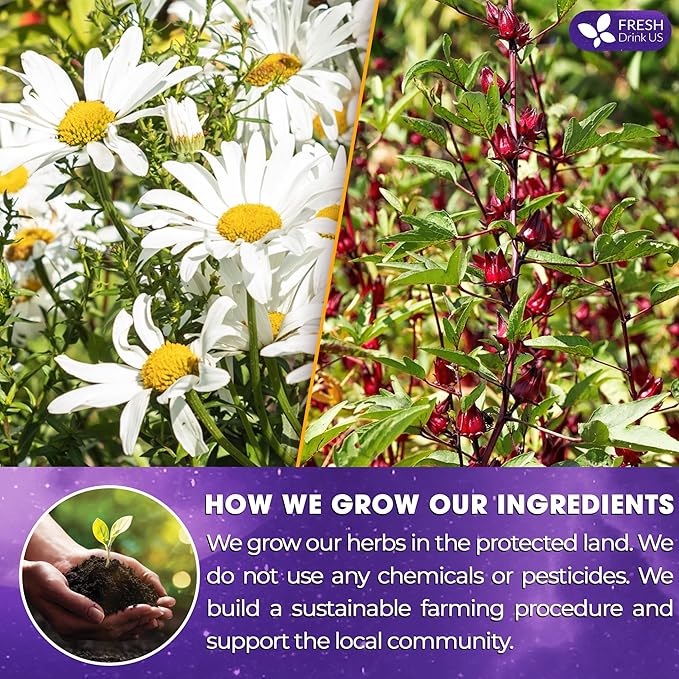 Refreshing Mint Herbal 60 Tea Bags – Special Blend Of Spearmint and Peppermint with Chamomile, and Top Herbal Ingredients for Digestive Comfort & Relaxation, Caffeine-Free, Naturally Sweet, Non GMO