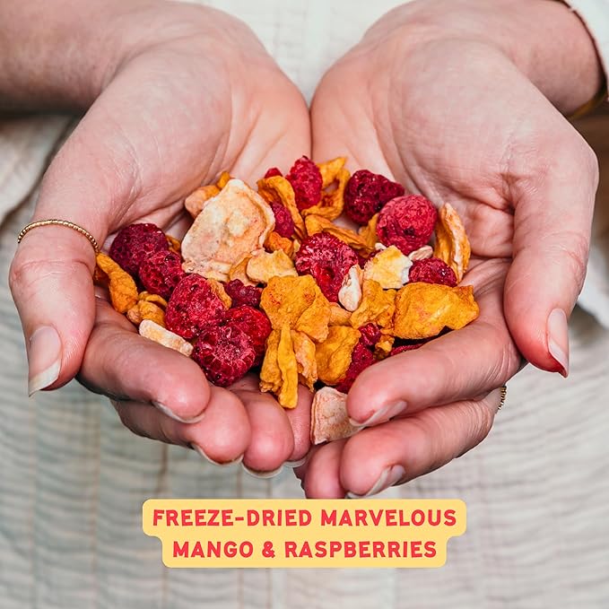 5th Season Freeze Dried Fruit Snacks Variety Pack - 100% 2 count Strawberries, 2 count Fruit Salad, 1 count Mango & Raspberries (5 Pack, 80g each)